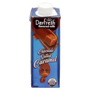 Day Fresh Chocolate Salted Caramel Milk, 225ml