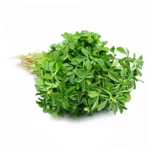 Fresh Basket Fenugreek (Meethi) Leaves, Small