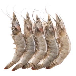LARGE PRAWNS (10-15 pcs)