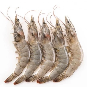MEDIUM PRAWNS (20-25 pcs)