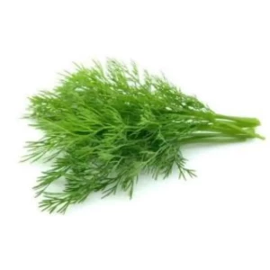 Soya Dill - Bunch