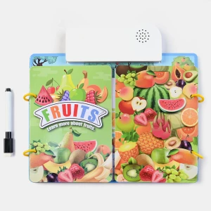 TOUCH SENSORS AND MUSIC FRUIT ENGLISH READING BOOK